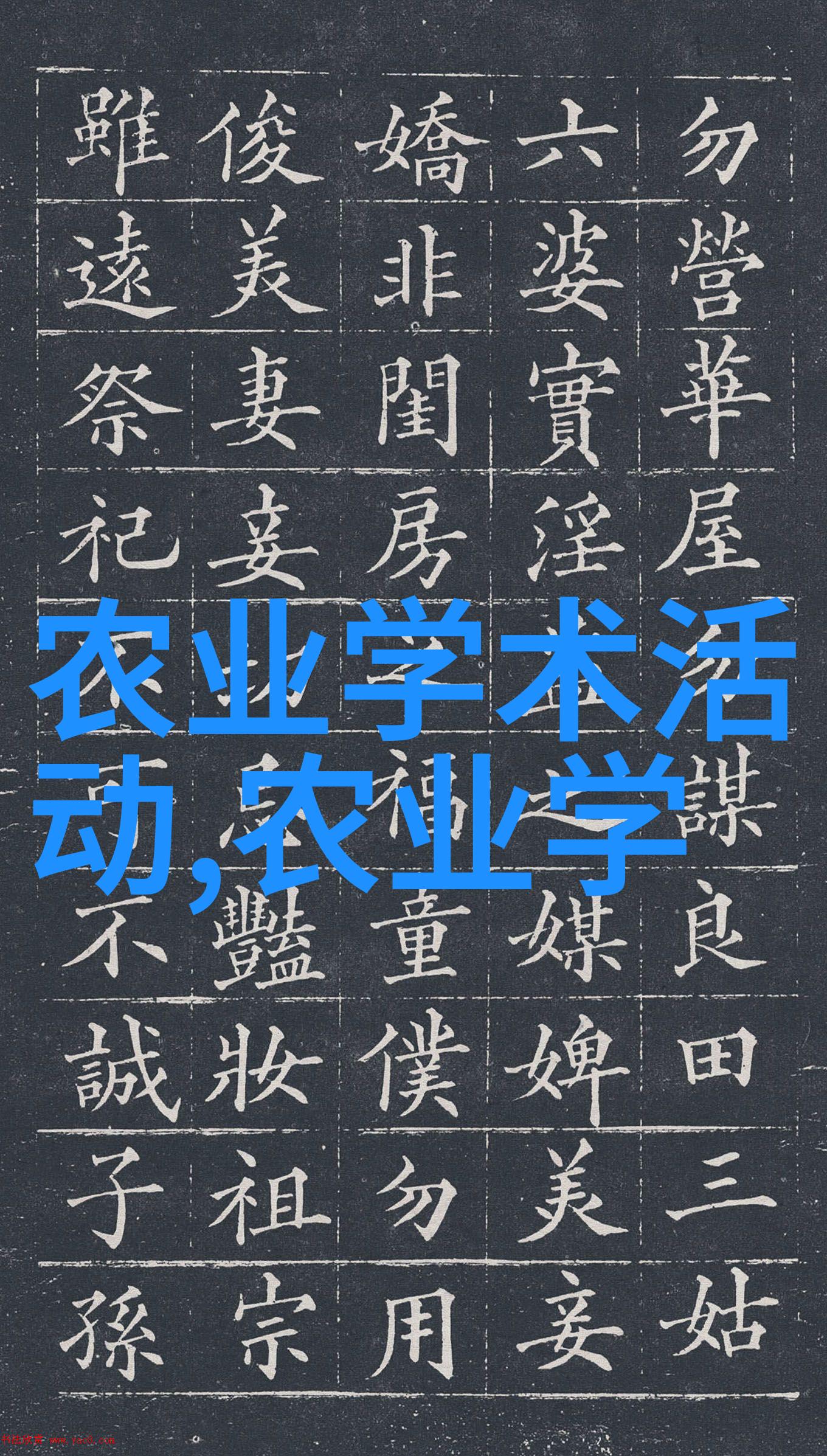 农业新技术都有哪些-智慧播种揭秘现代农业革命的新技术
