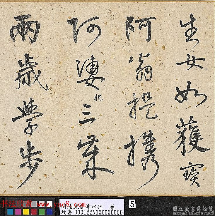 图解中医宝库揭秘100种草药的奇妙之处