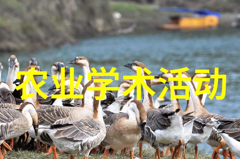荔枝的贮藏与保鲜技术要点