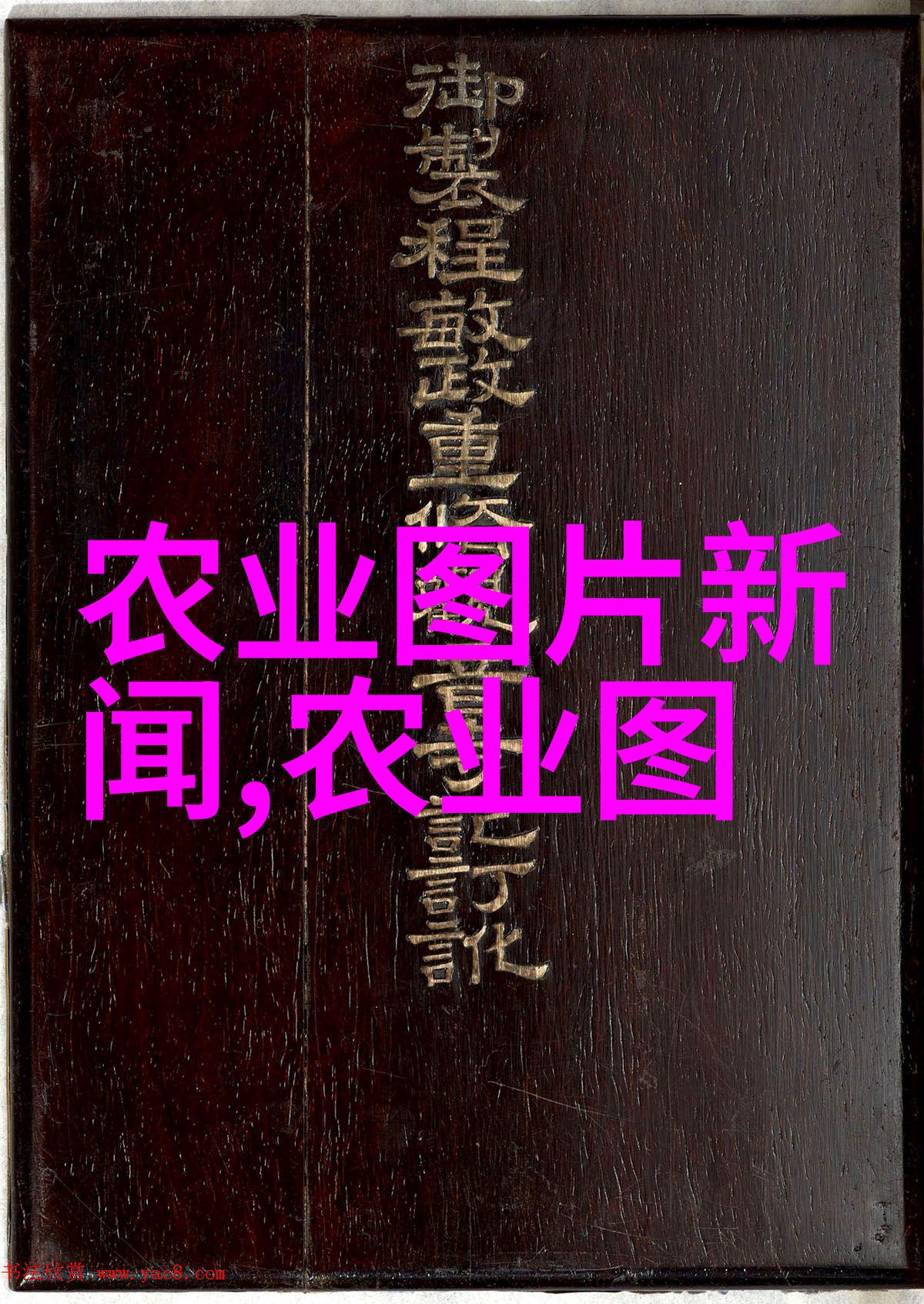 最旺宅的风水树古老传说的吉祥植物