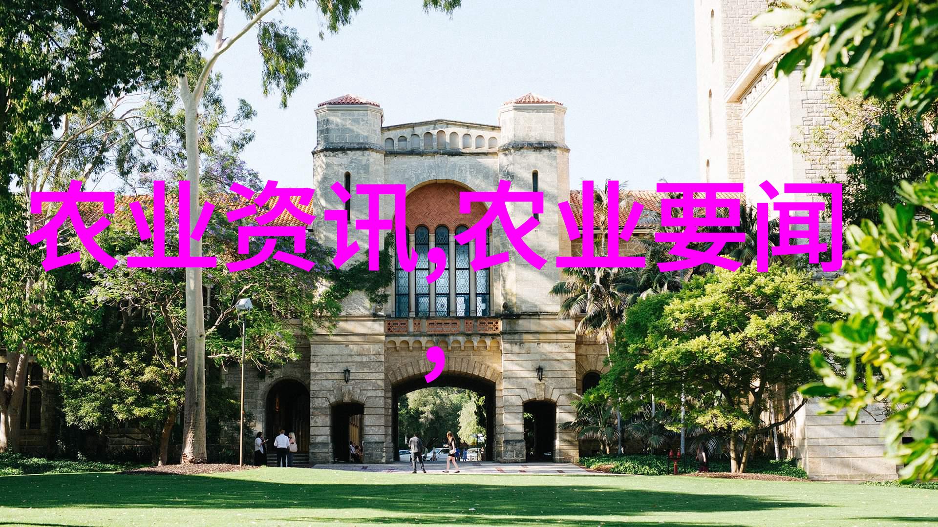 苗木嫁接技术视频我来教你如何搞定苗木嫁接看这视频就懂了