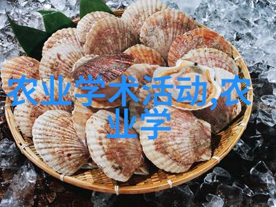 燃油狂飙V8成品人的驾驭艺术