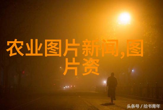 亲子园游夏日的欢乐探险