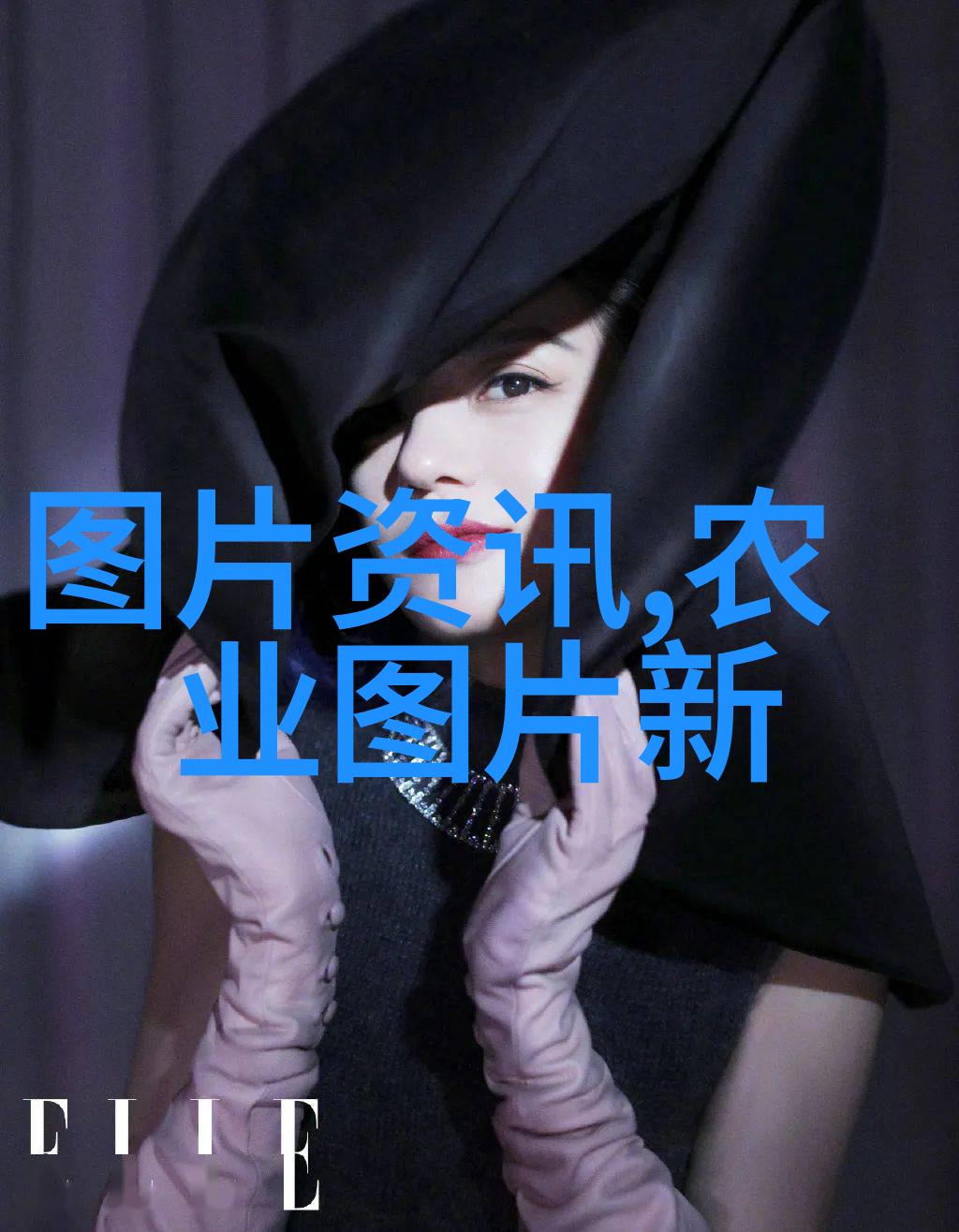 中药材价格走势最新市场价值排行