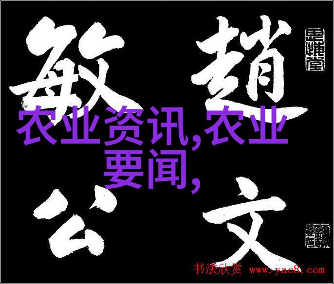 地下隧道建设中的关键角色水平定向钻机