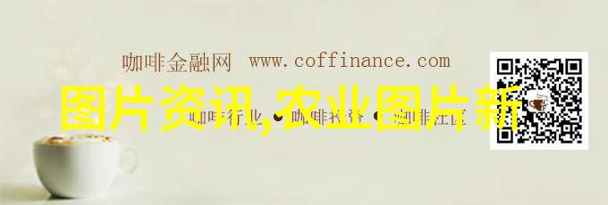 甘肃树苗批发市场绿色生态的种子选择