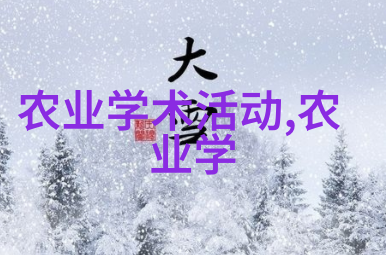 蔬菜超市丰富多样的绿色食物世界