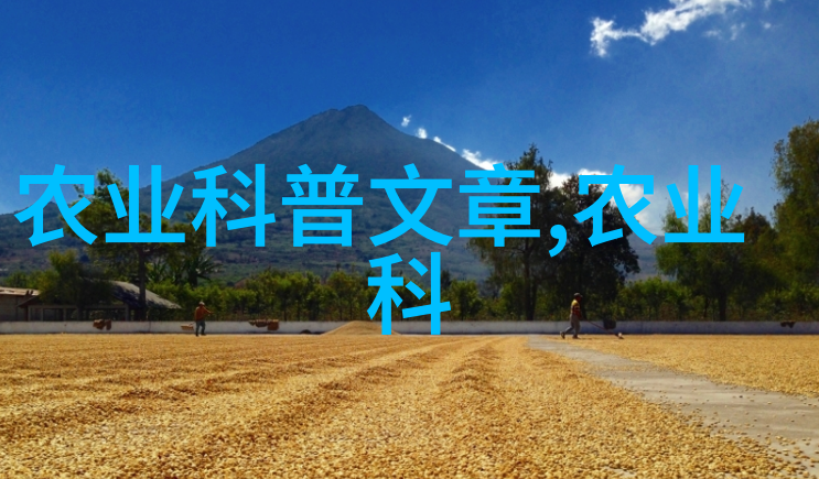 高效养殖法则让你的20只羊年年盈利