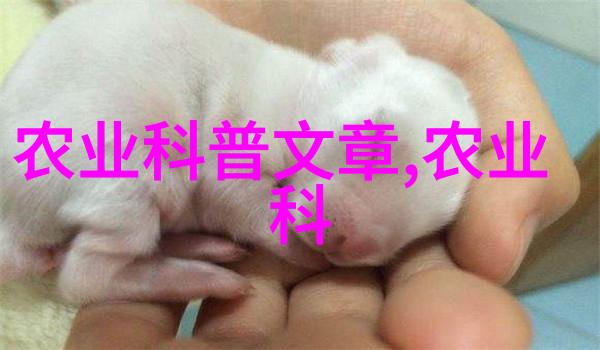 一亩大棚投资总额农业设施建设成本
