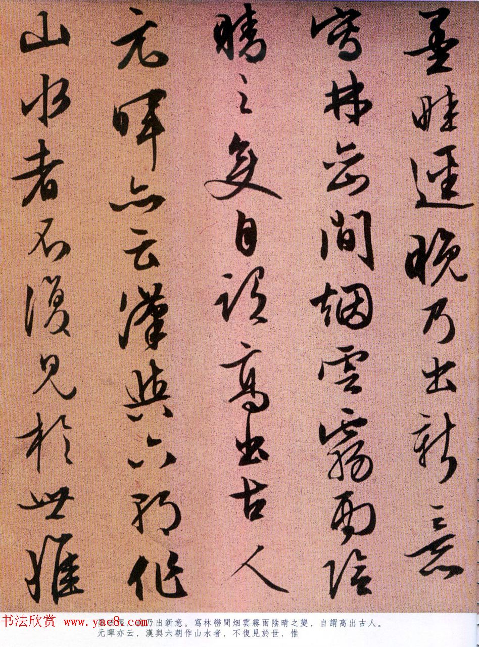 冬季室外耐寒的花卉有哪些-坚韧不拔探索冬日的室外耐寒美丽