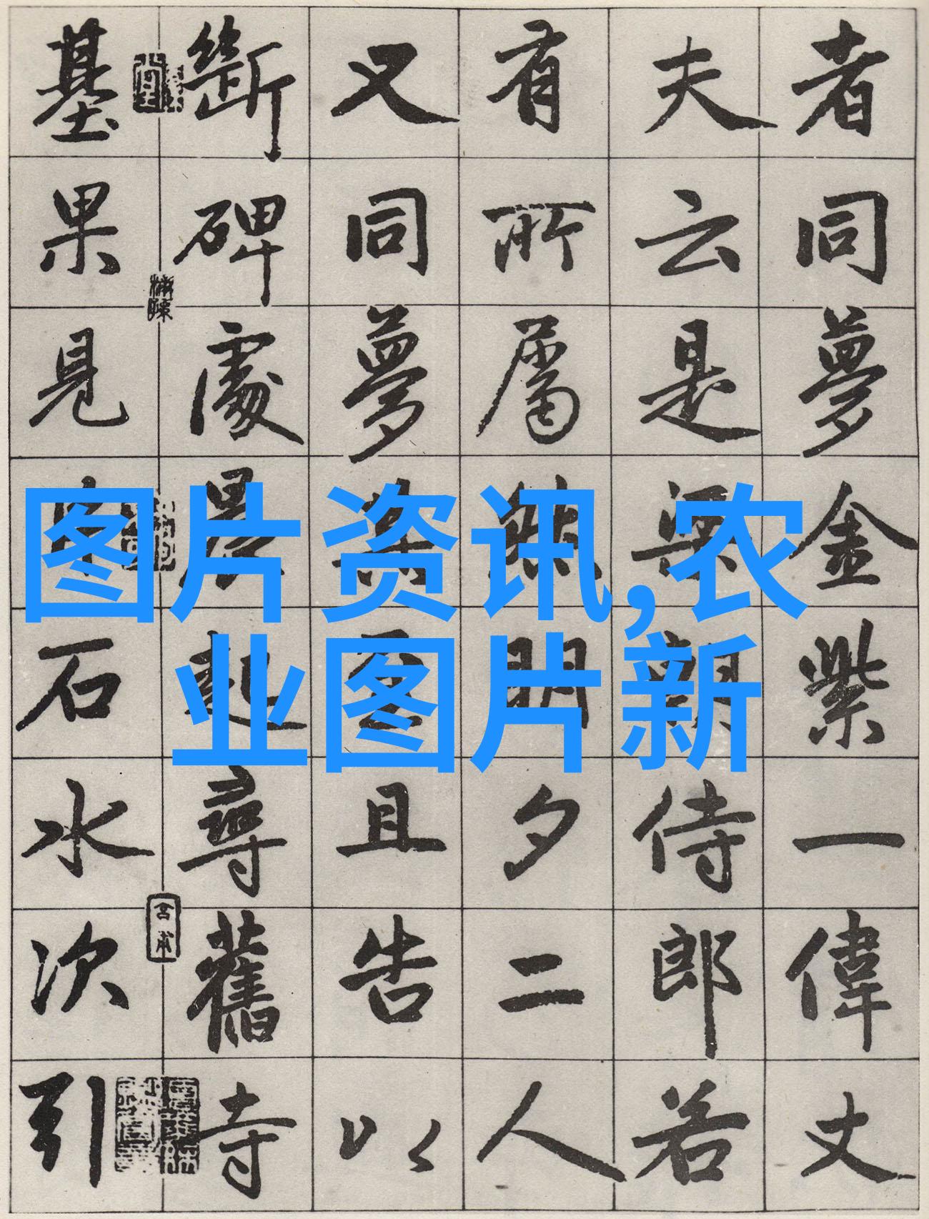 园丁启蒙花香里的知识小栈