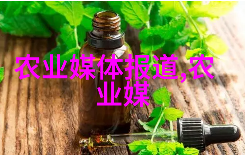 种植蜜源植物的艺术与科学提升蜂群繁殖力和产蜜能力