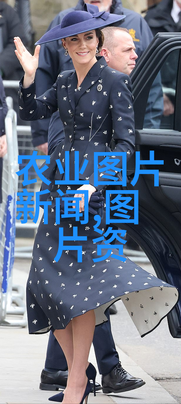 从田间到桌面农技推广的智慧种子