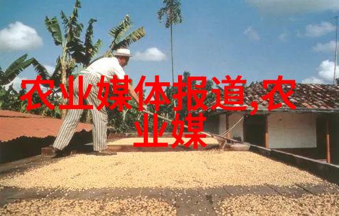 农村种植高价值药材中草药经济发展
