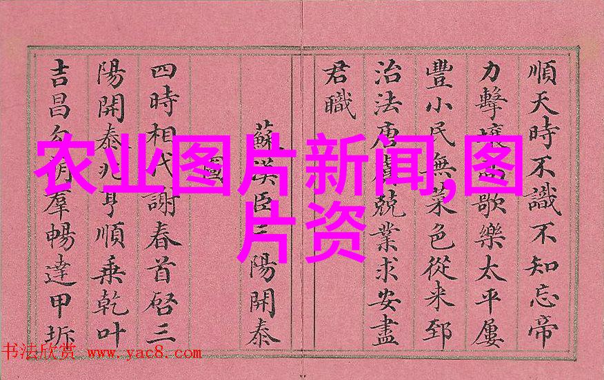 青州花卉苗木种植基地绿意盎然的生长之地