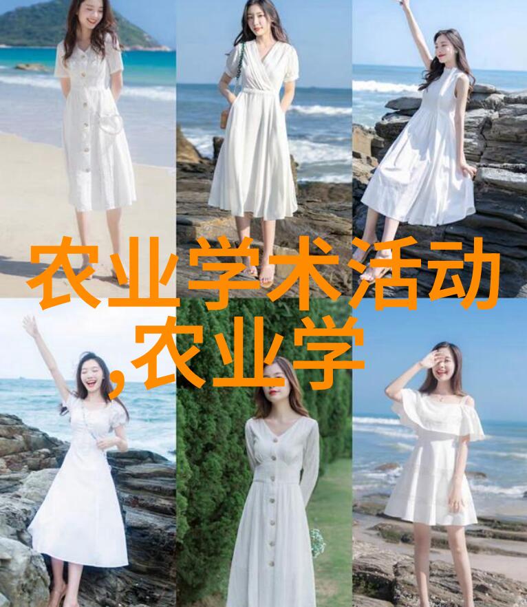 什么是中医炮制法以及它对提高药效率有什么作用