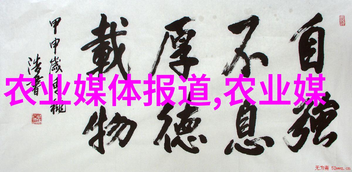 从零到英雄详解每个环节的完整性和优化方法