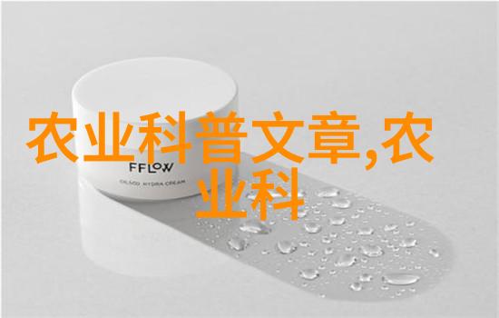 节日佳肴重现传统节日时光的特色小吃配方集锦