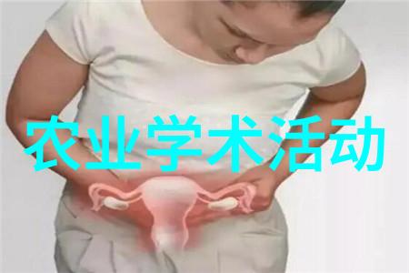 土豆狗熊和亚伯拉罕林肯一个照相机和拟补班二
