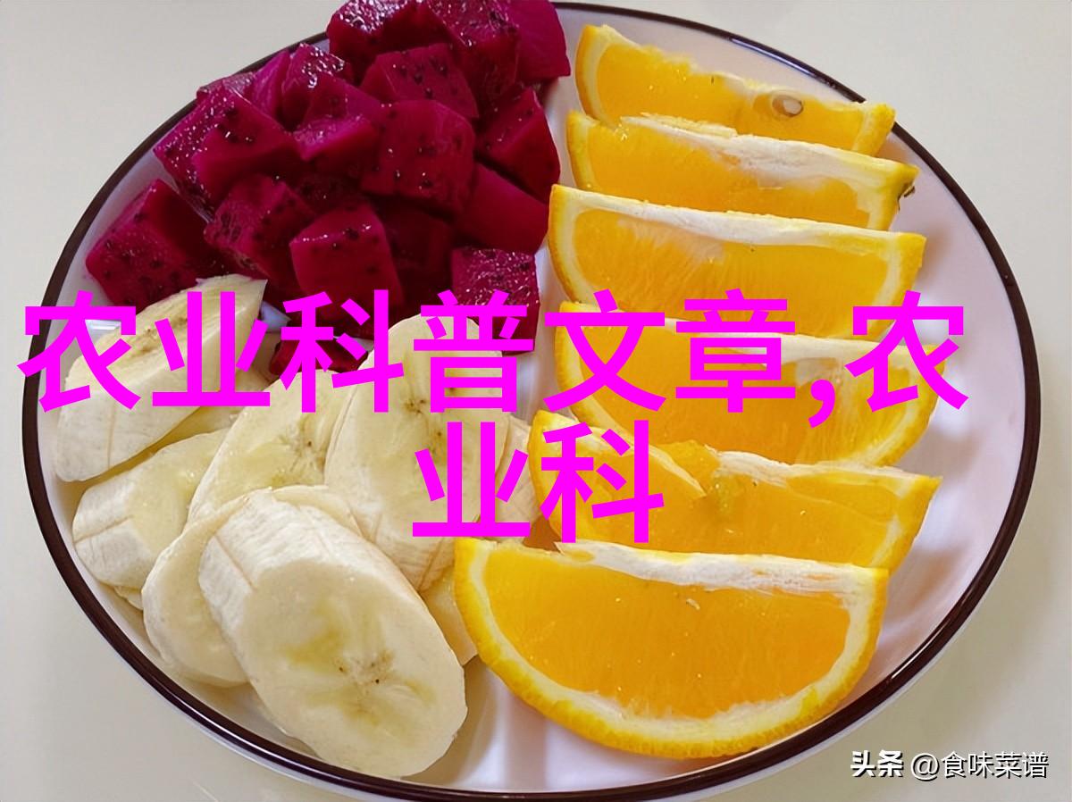 秋日暖阳下的枣树香探索甜美与生命力的交织
