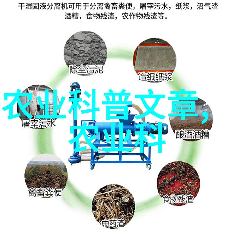 认识水果的种子我来告诉你水果之所以能长出新的水果其秘密其实隐藏在它们的小小种子里