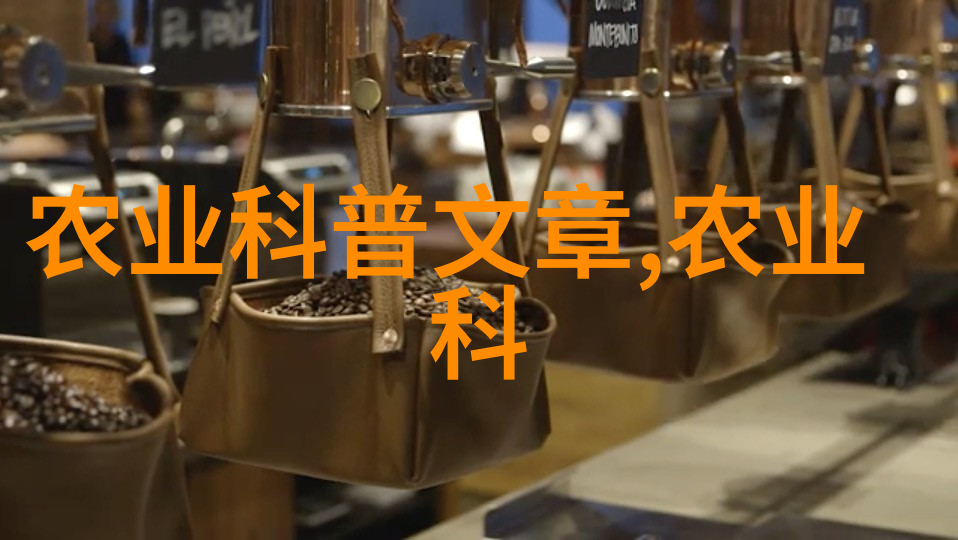绿意盎然的家园室内植物种植艺术