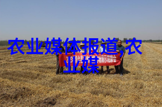 入门级香茗了解和享受红茶世界