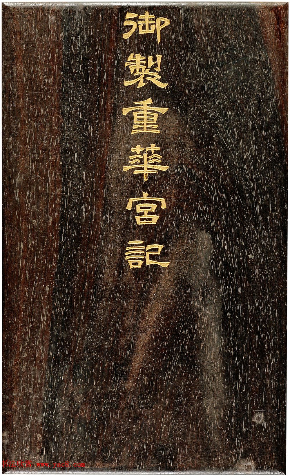 农村生意最好做种植特色蔬菜高附加值的绿色食品