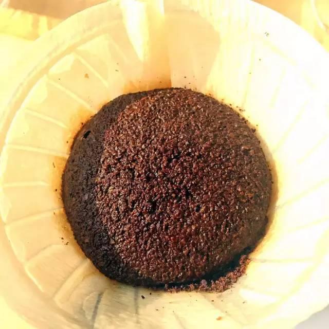 最赚钱的农业项目-富饶田野揭秘全球最高收益农作物