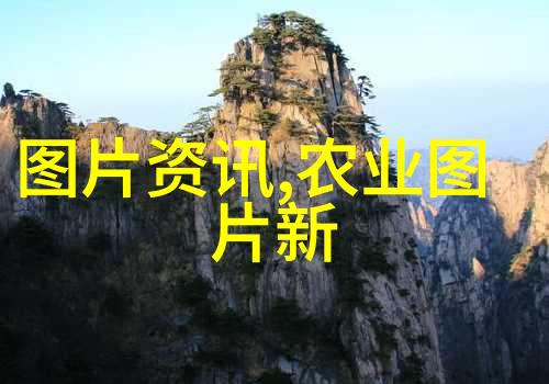 主题-5种多肉千万不要养揭秘不适合新手的危险植物