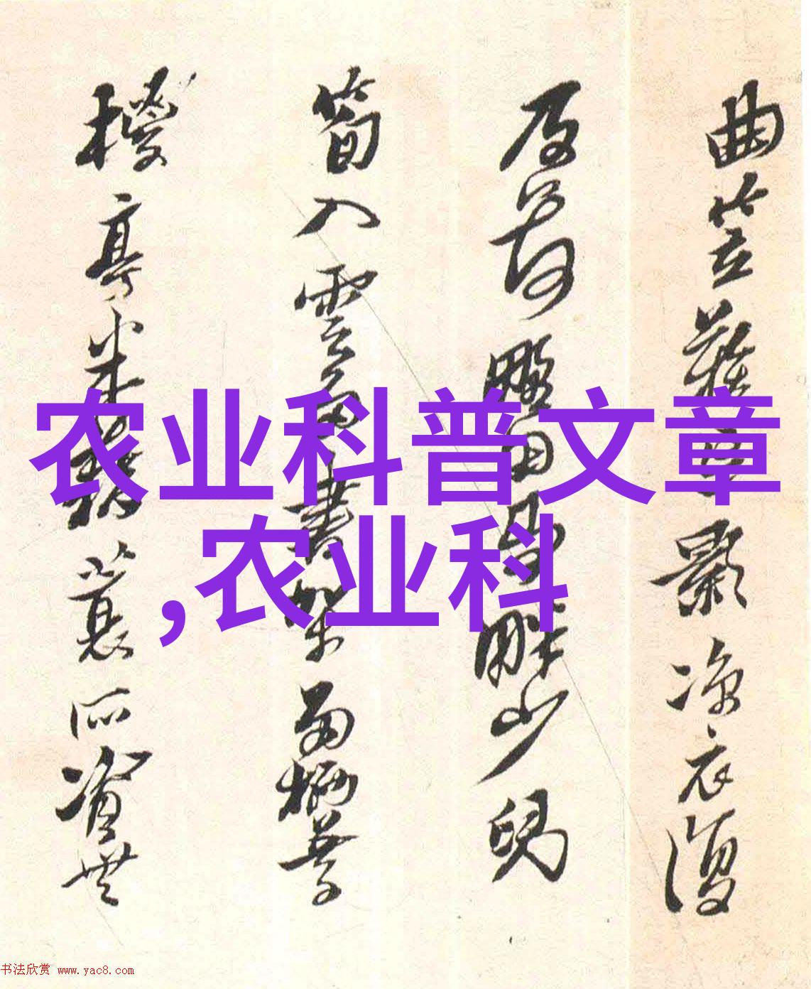 今日头条科技与生活的融合新篇章