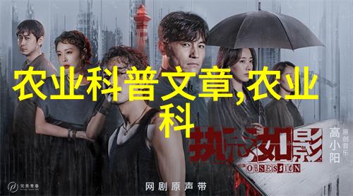 10亩连栋大棚造价绿色种植的经济效益与技术创新