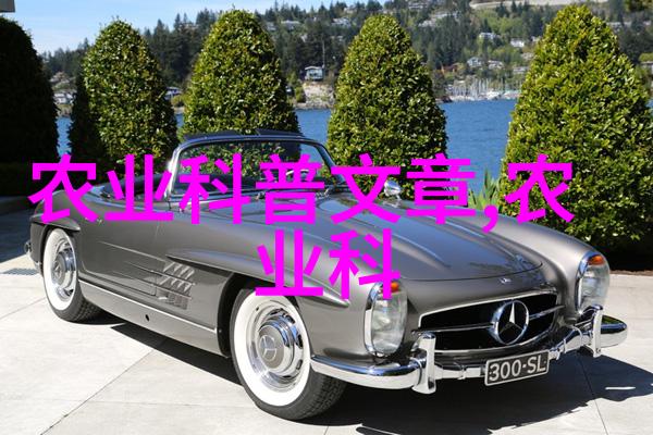 种子爱好者揭秘各种种子的图片和名字我的探索故事