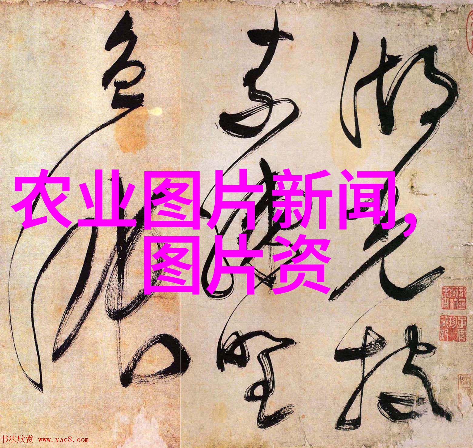 家庭客厅养花指南数据驱动的最佳选择