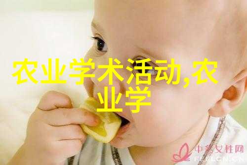 探索水果之谜揭秘籽粒的来源与作用