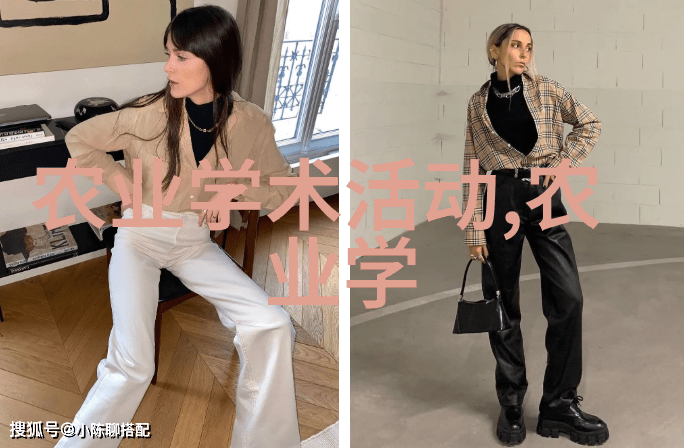 种花种子的方法步骤-春日播种从选择花卉到土壤准备的全过程