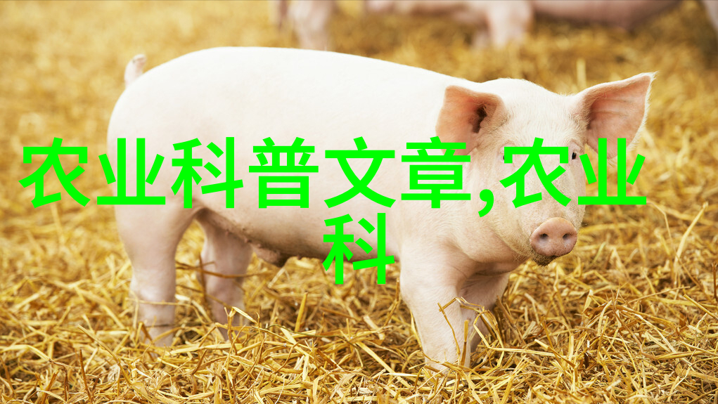 养几只羊才能比打工更有成就感