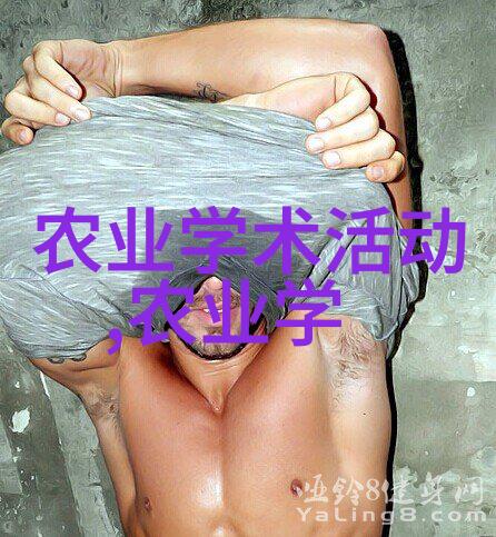 水平定向钻机我的工作伙伴深度探索地下世界的秘密