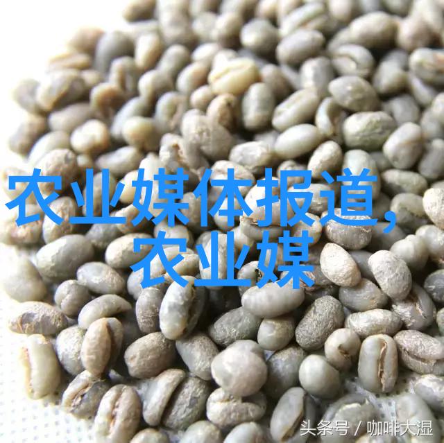 健康食谱-豌豆之美探索这颗小豆的营养与烹饪妙用