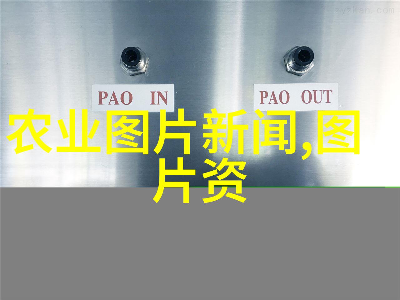 桂花飘香钱包却沉默揭秘18公分天竺桂的真实价格
