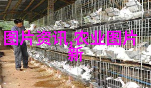 开小吃店成本低利润高的创业之道