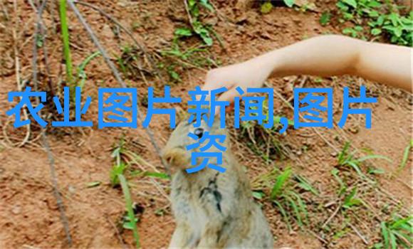 最好种的水果亲测排行从甜到酸我都尝过