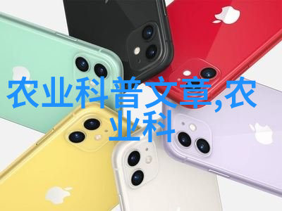 如何提高花卉种植成功率的秘诀与技巧