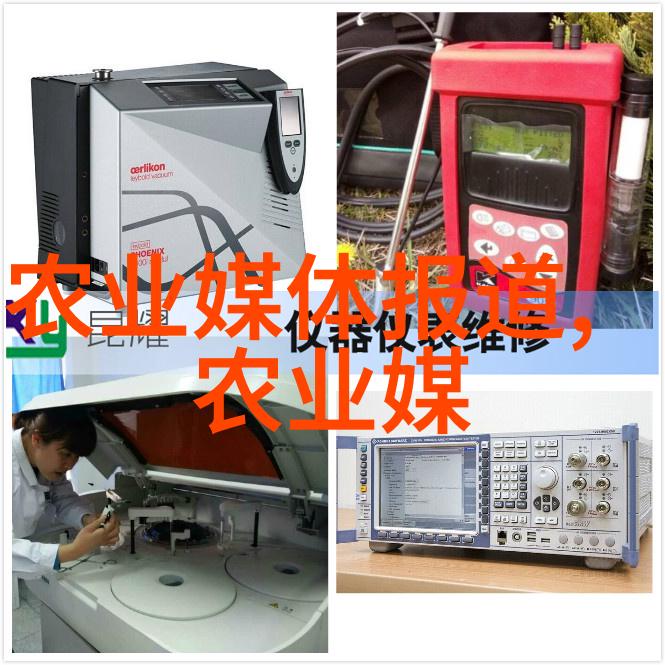 家中养什么花好养又聚财金钱树与财神草的秘密花园