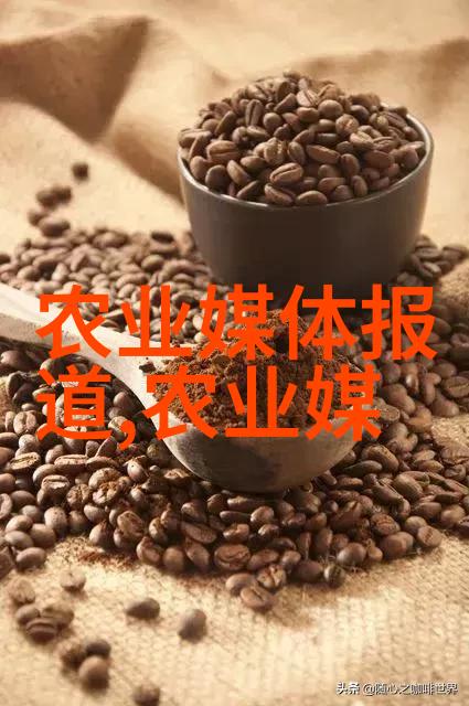 茶香中寻觅探索茶文化背后的哲学与智慧