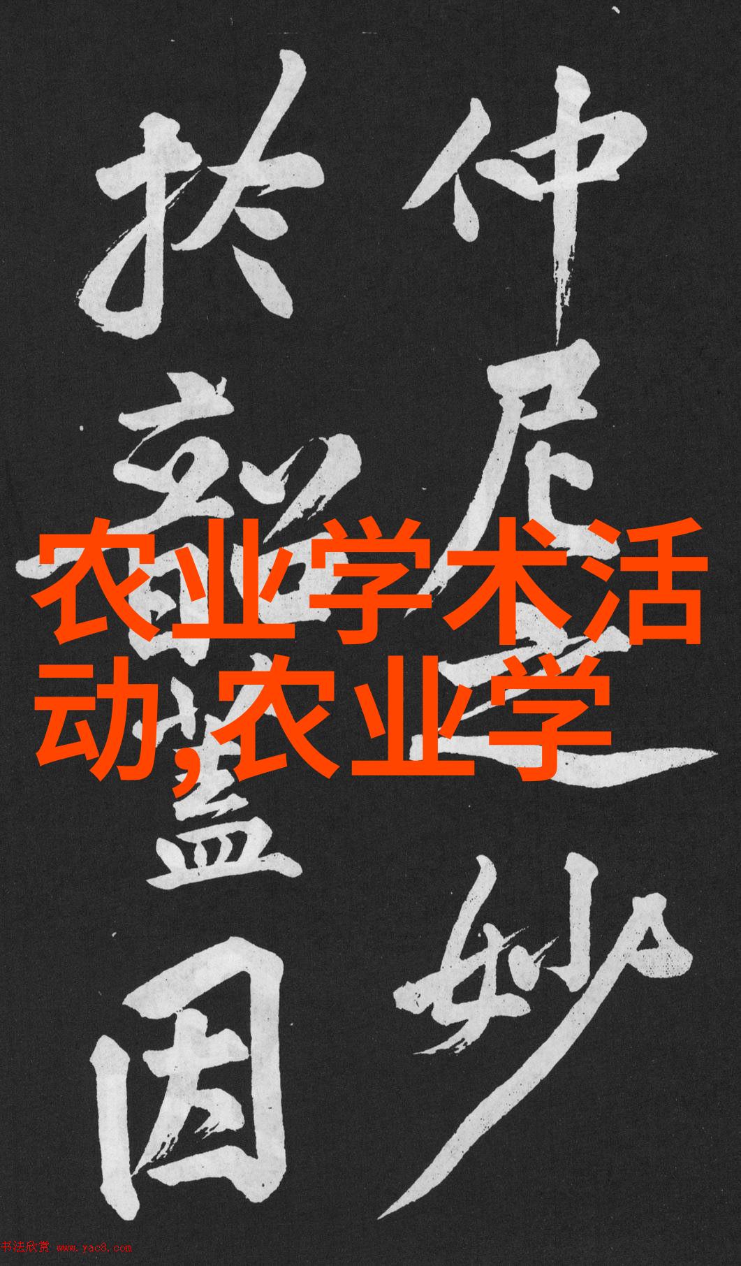 自然风光-探索野外捕捉野生金线莲的精彩瞬间