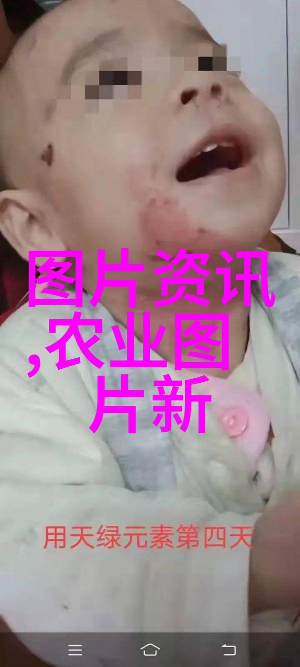 稻谷烘干机农作物的守护者与伙伴