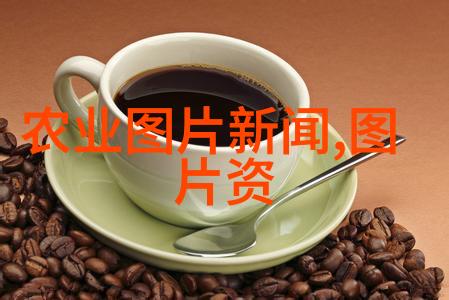 蜜蜂世界揭秘养殖技巧与爱好者分享