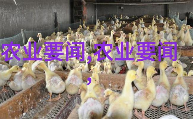 花开不见人影的秘密庭院