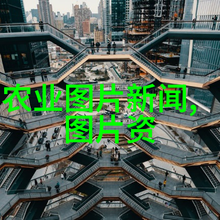 季节变化下的dinkum蜜蜂管理策略